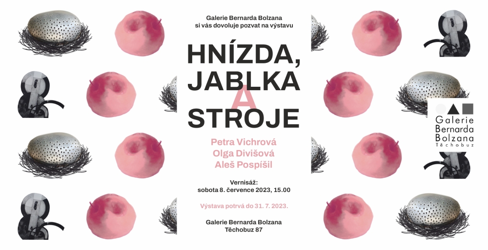 hnizda_jablka_stroje_DL_flyer