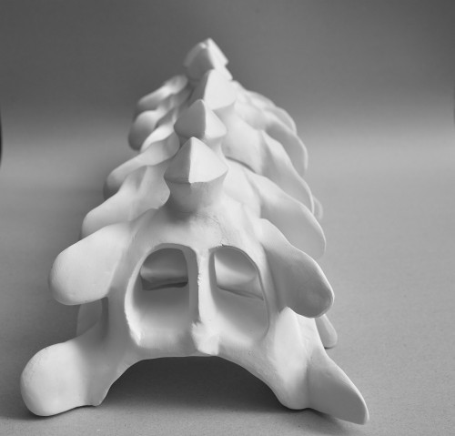 Josef Lorenc: Columna Vertebralis (2020)